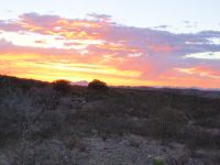 Sunset in the desert